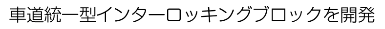 車道統一型インターロッキングブロックを開発しました。